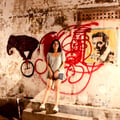 @consciousandcurious profile image