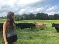 veganwalkerr @veganwalkerr profile image