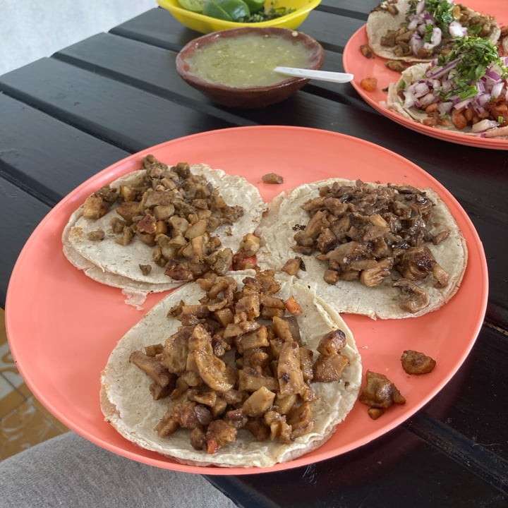 photo of La Cochera Vegana Tacos: tripa, bistec y carnitas shared by @aliscorle on  11 Nov 2021 - review