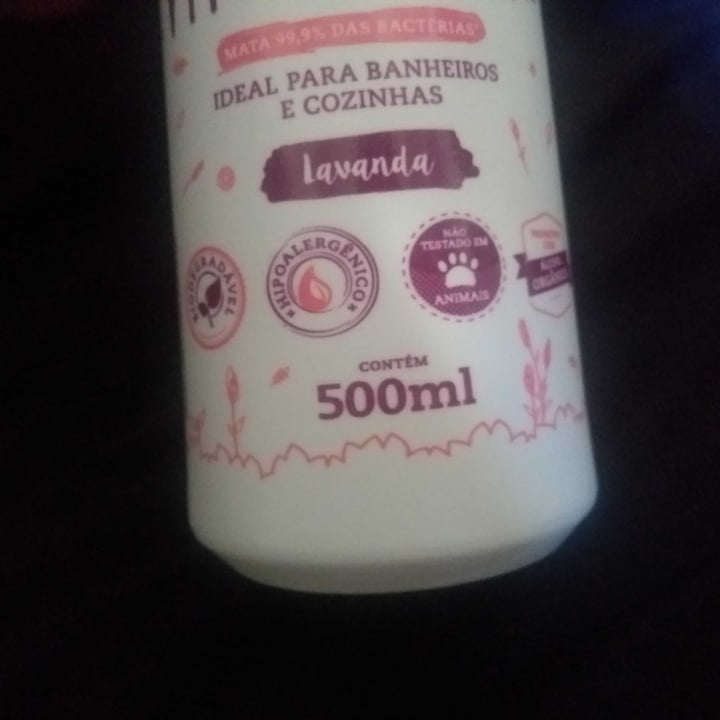 photo of Vinagreen Limpador multiuso lavanda shared by @feveg on  11 May 2022 - review