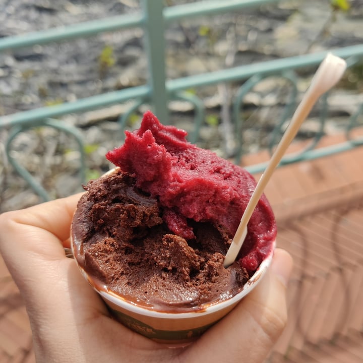 photo of OVER SEA. Gelato fondente e mora di gelso shared by @gc5 on  11 Mar 2022 - review