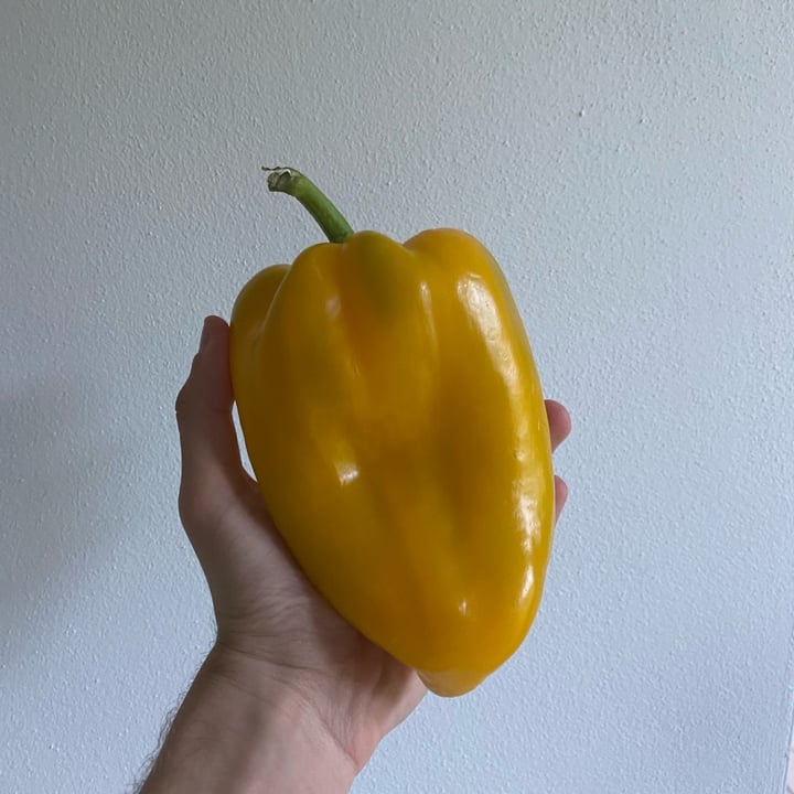 review photo of Conad Peperone giallo shared by @bohbohboh on 13 Jun 2022 - review