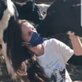 carlafernandes @carlafernandes profile image