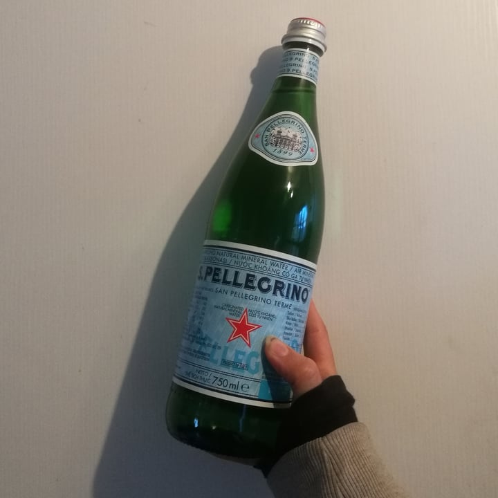 photo of S.Pellegrino Sparkling water shared by @junkfoodvegans on  31 Aug 2020 - review