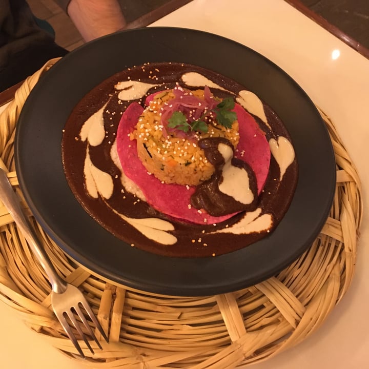 review photo of La Pitahaya Vegana Mole mixteco shared by @kmwalkley on 29 Nov 2022 - review