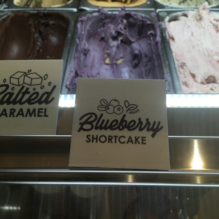 photo of Kristen's Kick-Ass Ice Cream Newlands Vegan Blueberry Shortcake shared by @sylvacharm on  01 Oct 2022 - review