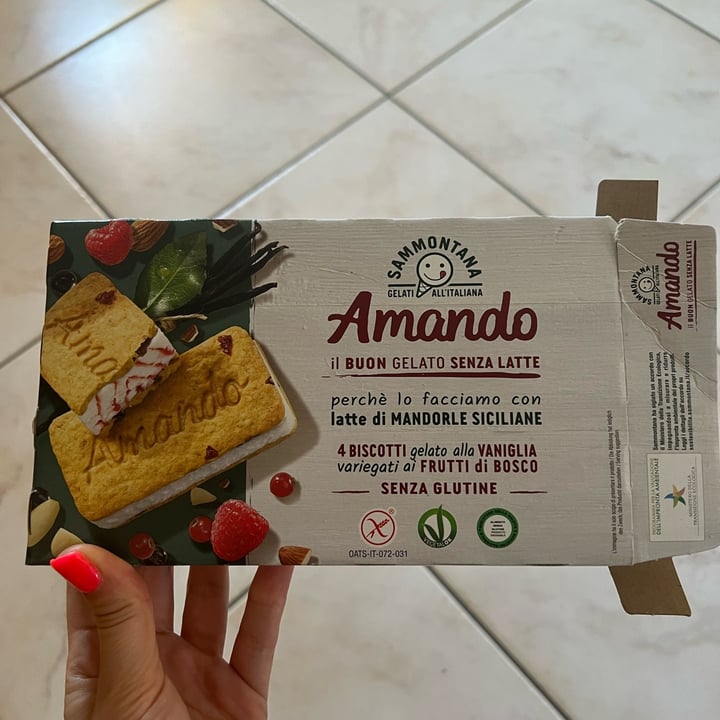 photo of Sammontana Amando biscotti gelato alla vaniglia variegato ai frutti di bosco shared by @fraulicia on  22 Jul 2022 - review