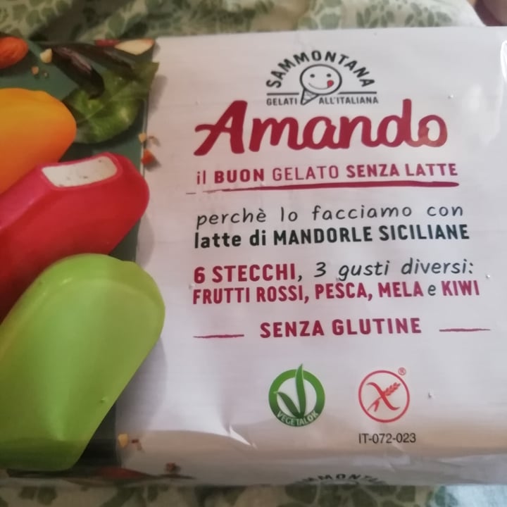 photo of Sammontana 6 stecchi il buon gelato senza latte shared by @minaanim on  03 Aug 2022 - review