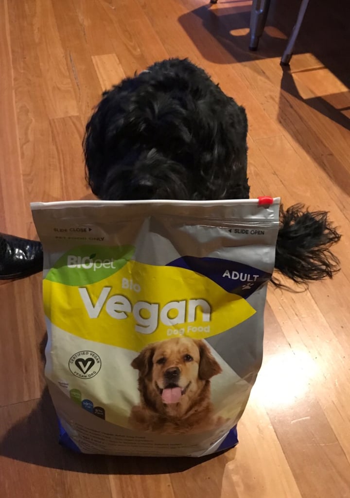 photo of Biopet Bio Vegan Dog Food shared by @susannah on  19 Aug 2019 - review