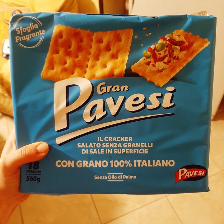 photo of Gran pavesi Cracker shared by @atlantis on  14 Jan 2022 - review