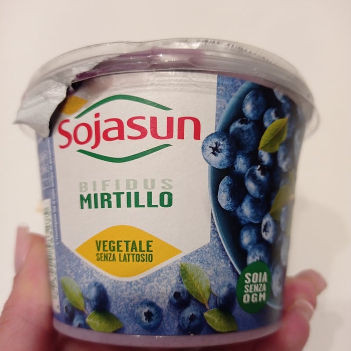 photo of Sojasun Yogurt Bifidus Mirtillo shared by @imartina97 on  05 May 2022 - review