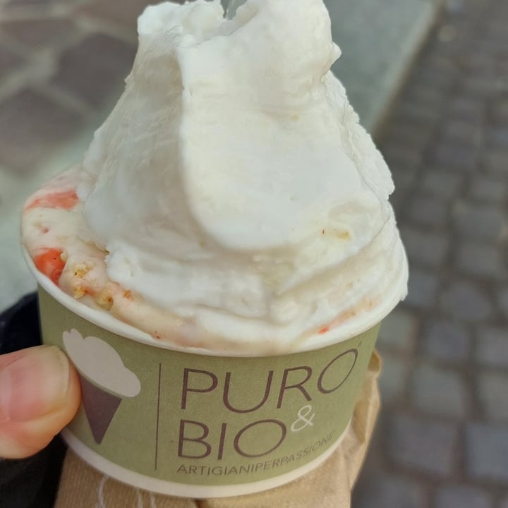 photo of Puro & Bio Gelato Vegan (non Solo Frutta!) shared by @valemnt on  19 Apr 2022 - review