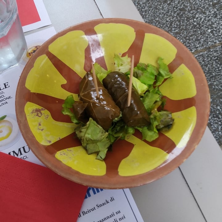 photo of Beirut Snack Foglie di Vite shared by @sirine on  23 Apr 2022 - review
