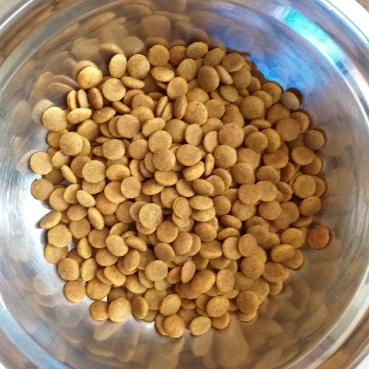 review photo of VeganPet Veganpet Dog Food shared by @ava1kenobi on 20 Oct 2022 - review