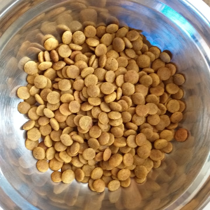 photo of VeganPet  Veganpet Dog Food shared by @ava1kenobi on  20 Oct 2022 - review