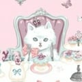 johi-rose @johi-rose profile image