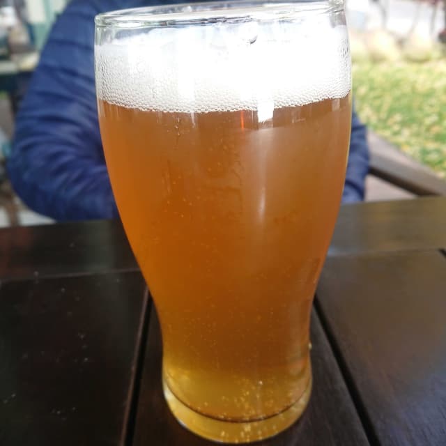菜肴“Cerveza Rubia De Manush”的照片