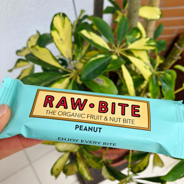 photo of Raw Bite raw bite peanut shared by @pbsofia on  19 Apr 2021 - review