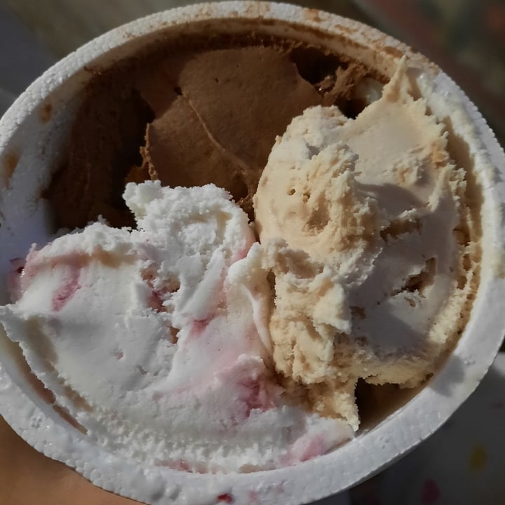 photo of Ainara Helados Veganos 1/2 kg shared by @vegaly on  16 May 2021 - review