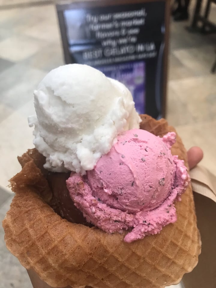 review photo of Gelateria Uli Vegan chocolate, Fresca mint, coconut lemon grass shared by @tanzaniteandturmeric on 15 Apr 2019 - review