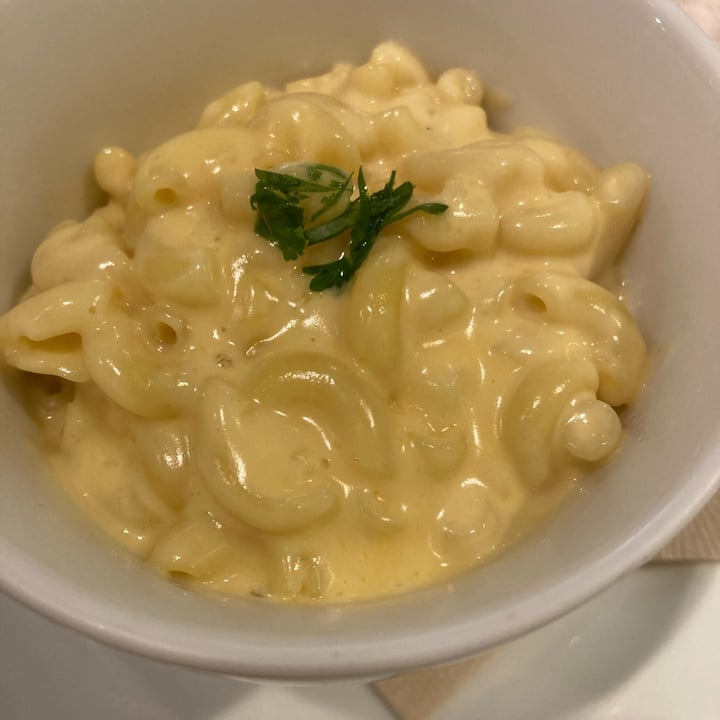 photo of AIN SOPH. Soar IKEBUKURO macaroni cheese shared by @cico777 on  15 Aug 2022 - review