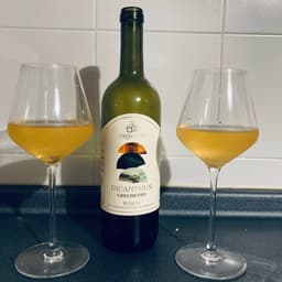 Trebotti