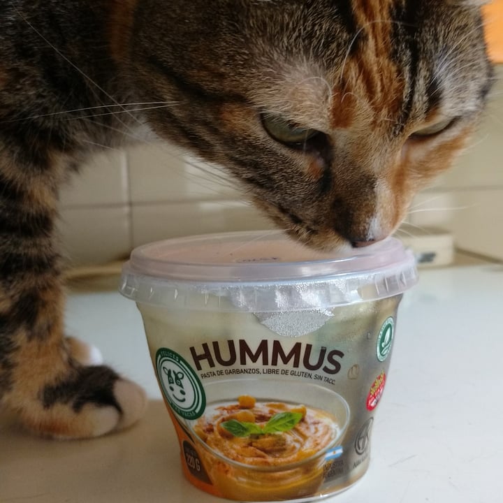 photo of Felices Las Vacas Hummus shared by @sandra0206 on  23 Mar 2022 - review