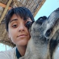 cecimc @cecimc profile image