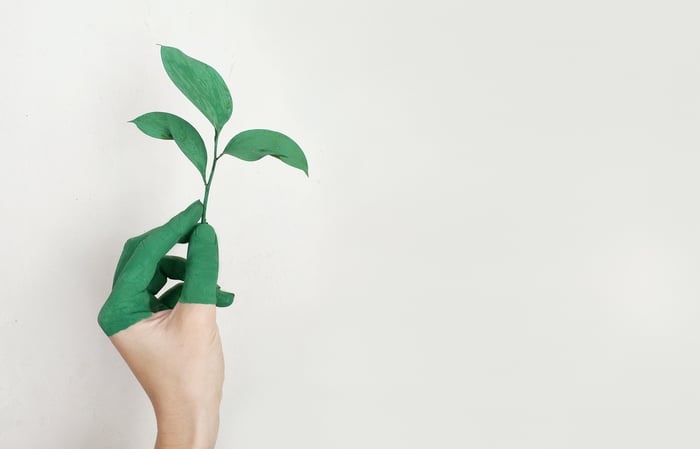 hand with green paint holding a leaf