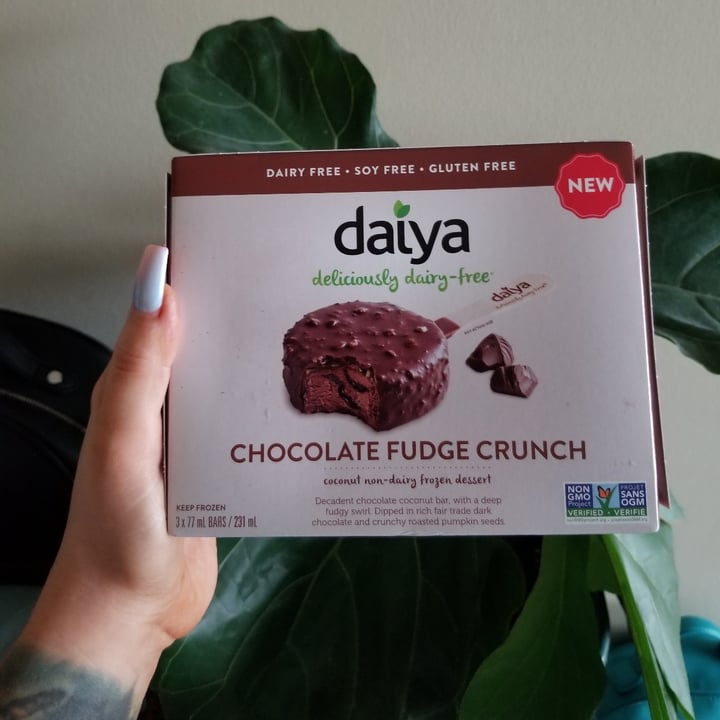 photo of Daiya Chocolate Fudge Crunch Coconut non-dairy Frozen Dessert shared by @mermaidgirl on  18 Nov 2020 - review
