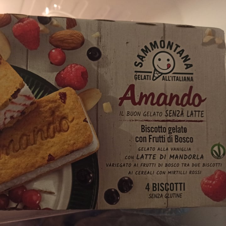 photo of Sammontana Biscotto Amando con Frutti di Bosco shared by @jessicazaff18 on  25 Nov 2021 - review