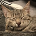 aly54 @aly54 profile image
