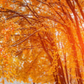 robyberta24 @robyberta24 profile image