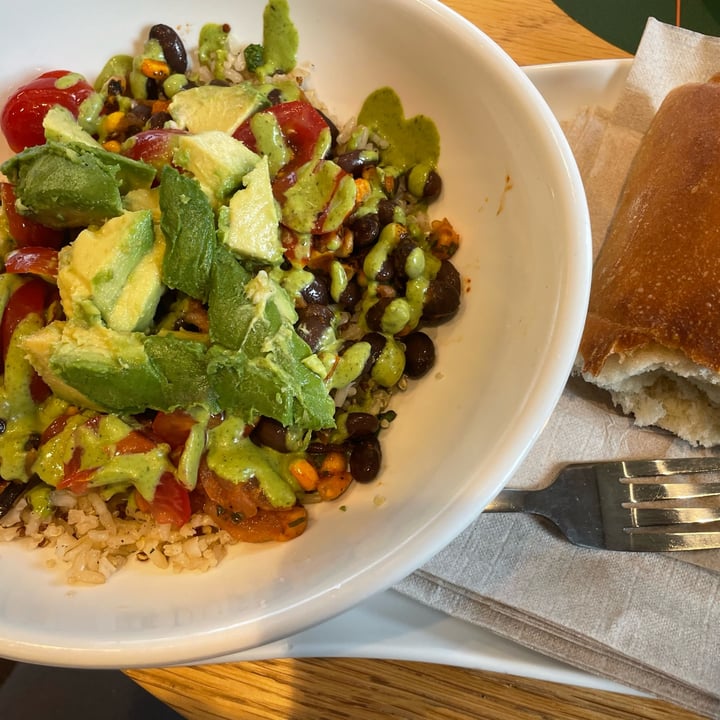 photo of Panera Bread Baja Bowl shared by @risinghope on  09 Jun 2022 - review