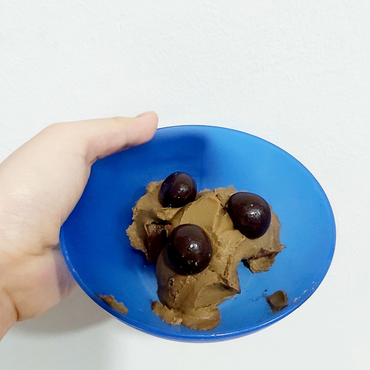 The Source Bulk Foods Singapore Dark Chocolate Macadamias Reviews the-source-bulk-foods-singapore-dark-chocolate-macadamias-reviews