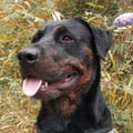 eribarre @eribarre profile image