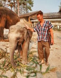 paulhaensel @paulhaensel profile image