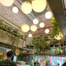 BotaniKafé - Jardins