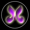 @elevatedvegan profile image