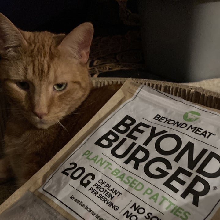 photo of Beyond Meat Beyond Burger Plant-Based Patties shared by @mtorello on  15 Oct 2022 - review