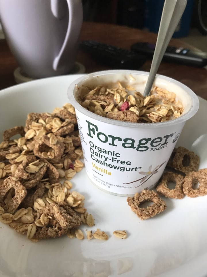 photo of Forager Project Organic Dairy-free Cashewmilk Yogurt Vanilla Bean shared by @veganbrenna87 on  03 Dec 2019 - review