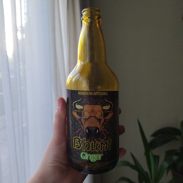 review photo of Bhumi Kombucha "Ginger" shared by @sebi999 on 30 Dec 2020 - review