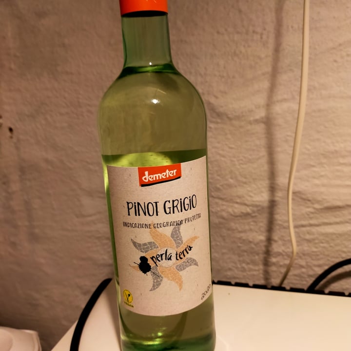 photo of Demeter Pinot Grigio shared by @backpacker21 on  31 May 2021 - review