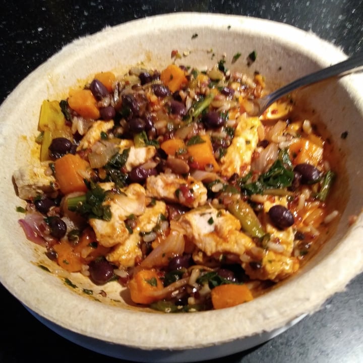 photo of Healthy Choice Chipotle Chick’n with Gardein shared by @practicallyvegan on  11 Dec 2020 - review