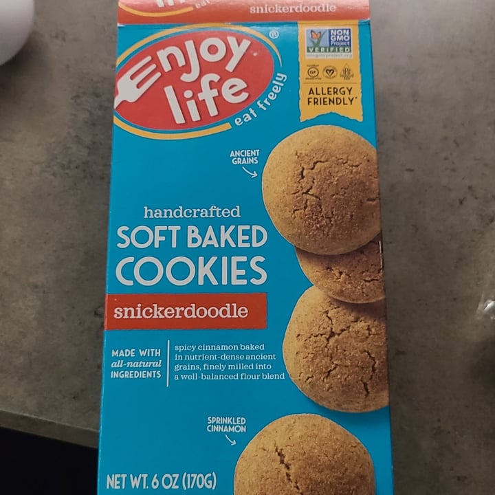 photo of Enjoy Life Enjoy life snickerdoodle shared by @philocalypso on  29 Jun 2020 - review