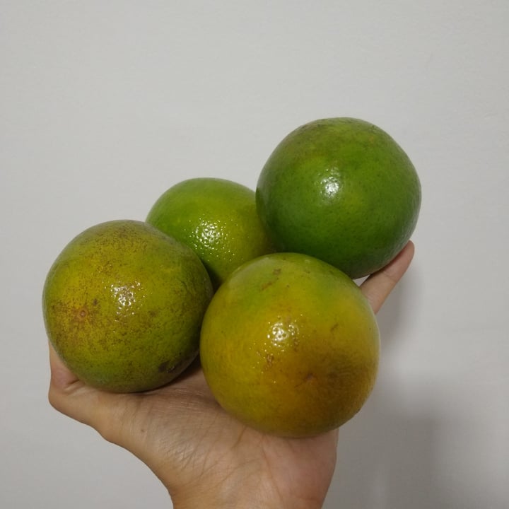 review photo of Laranja Laranja shared by @lucianealves on 11 May 2022 - review