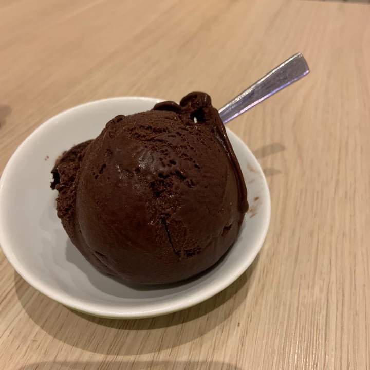 photo of WS Deli Experience Store Rich Dark Chocolate Ice Cream shared by @cathymaggots on  01 Feb 2021 - review
