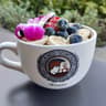 Island Vintage Coffee