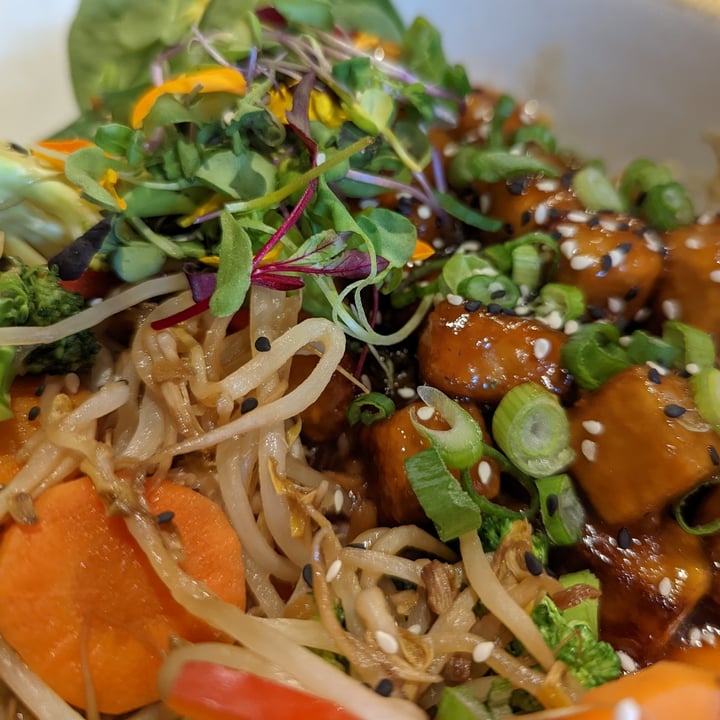 review photo of Don Vegan Restaurant - 100% Vegan et Vegetarian - Wine Bar Cocktails General Tao Tofu shared by @brighde on 08 Feb 2022 - review