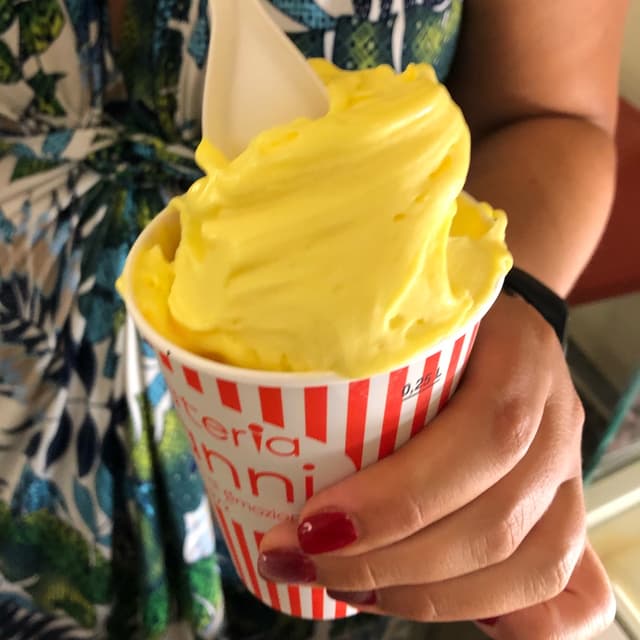 菜肴“macedonia con gelato vegano”的照片